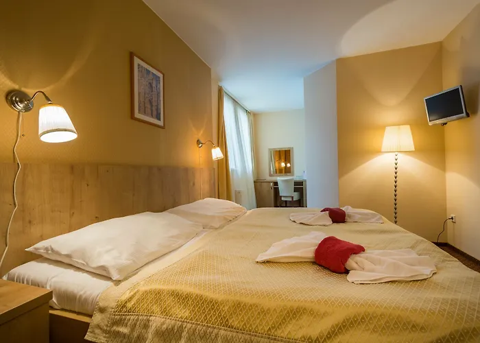 Superior Hotell 3*